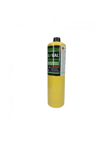 Gas Map Global 399Grs