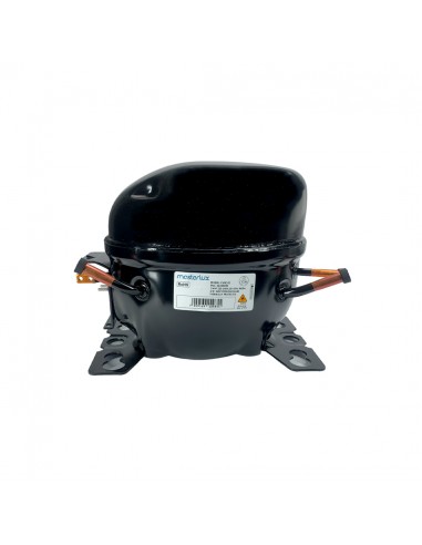 Motor R600 1/4 MX60C Masterlux