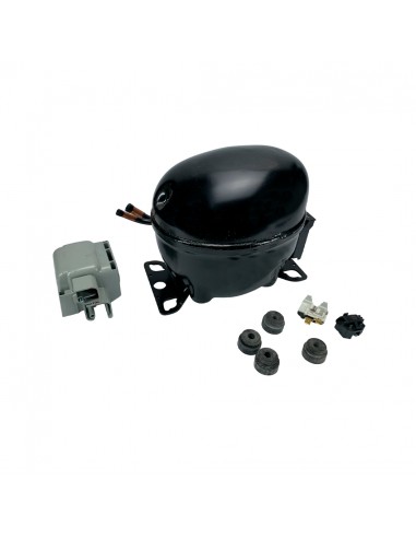 Motor R600 1/5 EM2P70CLP Embraco